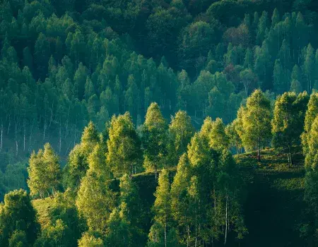 ネイチャーポジティブ時代における農業・林業・ブルーカーボンの現況と構造変化